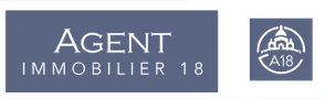 Agent Immobilier 18